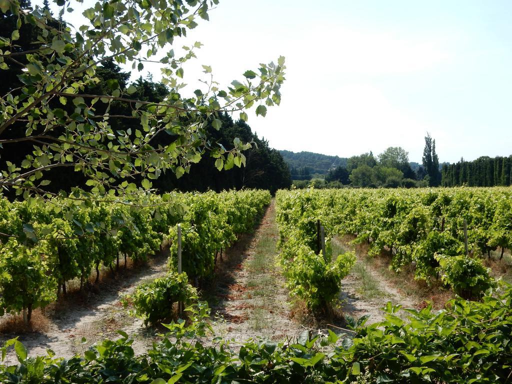 فندق Domaine De Blanche Fleur Châteauneuf-de-Gadagne المظهر الخارجي الصورة